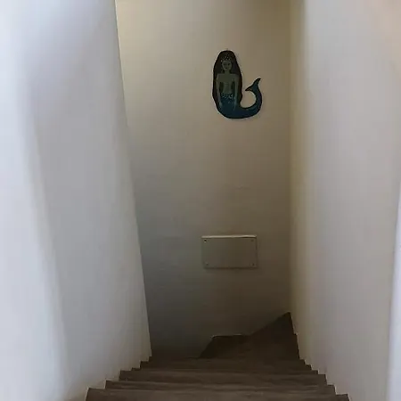 Sirena 基斯诺斯